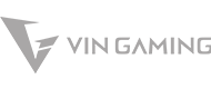 vin-gaming