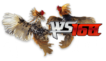 S128