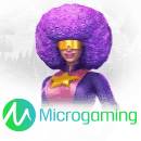 MicroGaming